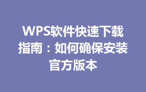 WPS软件快速下载指南:如何确保安装官方版本