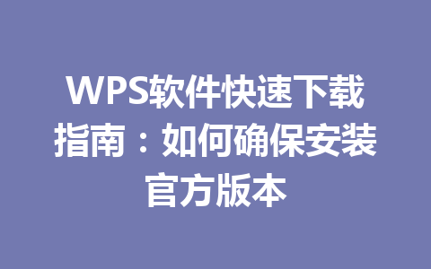 WPS软件快速下载指南：如何确保安装官方版本 一