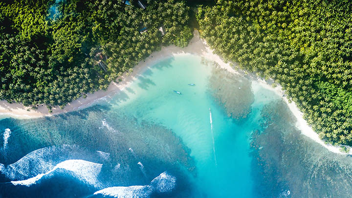 WPS最新下载指南：官方途径获取的三种便捷方法 二