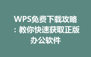 WPS免费下载攻略：教你快速获取正版办公软件