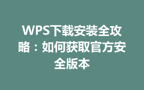 WPS下载安装全攻略：如何获取官方安全版本