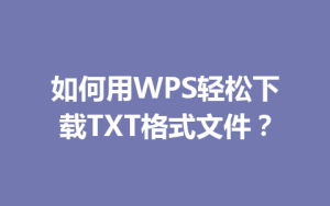 如何用WPS轻松下载TXT格式文件？