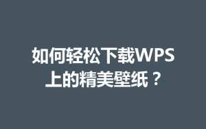 如何轻松下载WPS上的精美壁纸？