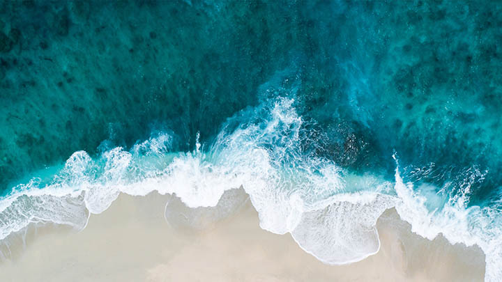 Mac上如何快速下载并安装WPS Office？ 二