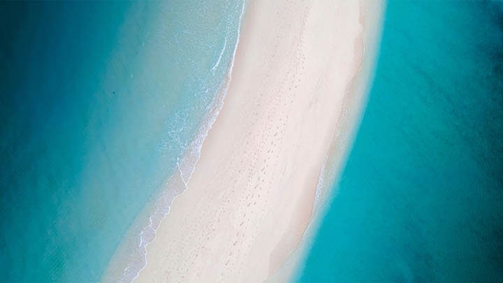 WPS打包下载技巧：快速实现一键批量获取 二