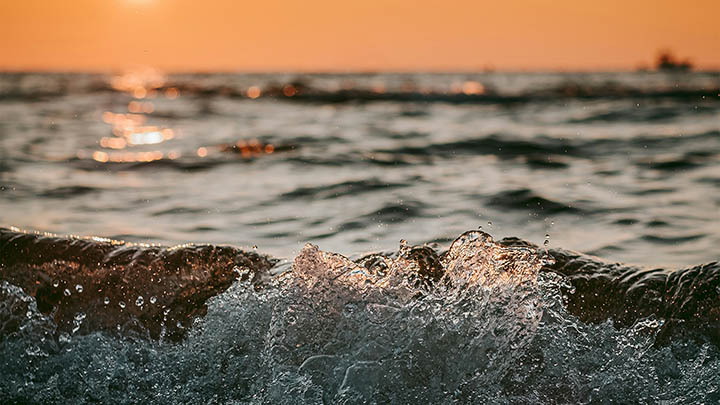 如何快速下载WPS网页版本？ 二