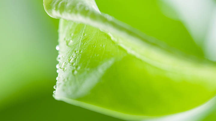 WPS如何快速生成并分享下载链接? WPS如何快速生成并分享下载链接? 二