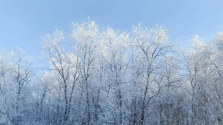 防止腾讯WPS误下载：避开错误链接的3个必学技巧 二