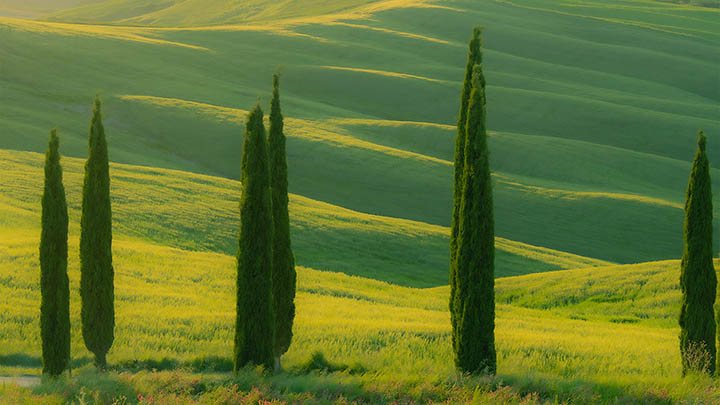 WPS插件怎么下载?官方工具及3种便捷设置详解 WPS插件怎么下载?官方工具及3种便捷设置详解 二