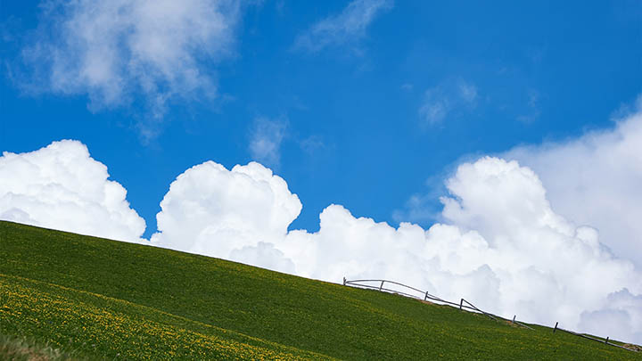 微软WPS下载指南：官方渠道获取的3个实用技巧 二