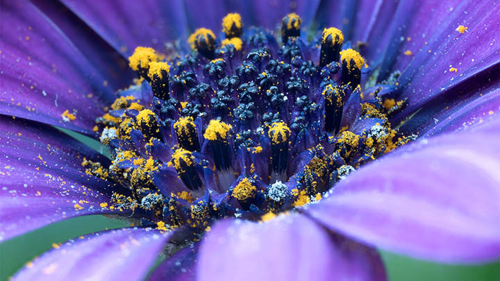 免费下载WPS的方法:官方安全资源获取指南 免费下载WPS的方法:官方安全资源获取指南 二