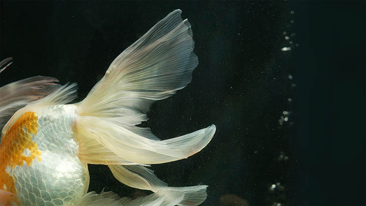 WPS软件下载后如何操作?新手必看全功能使用教程 WPS软件下载后如何操作?新手必看全功能使用教程 二