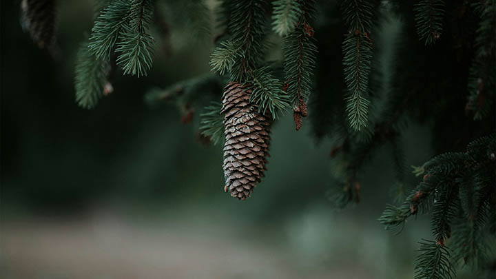 WPS PDF下载教程:快速获取并高效使用秘诀 WPS PDF下载教程:快速获取并高效使用秘诀 二