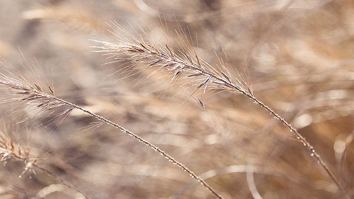 重新下载安装WPS需要哪些步骤? 重新下载安装WPS需要哪些步骤? 二