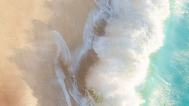 从哪里下载WPS？官方正版软件下载详细教程 二