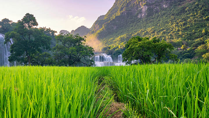 WPS如何快速免费下载？简单几步轻松掌握！ 二