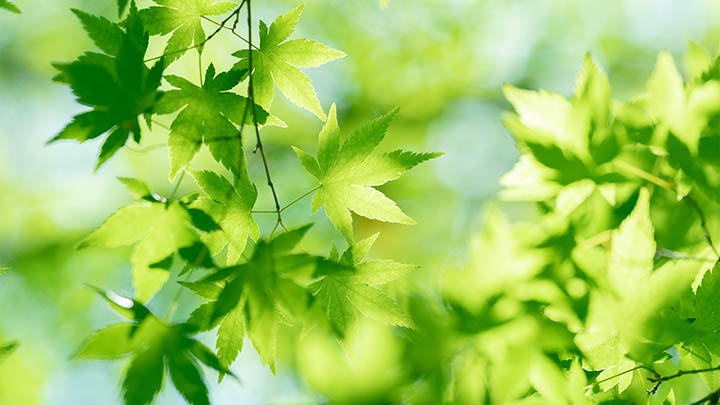 如何用WPS轻松下载TXT格式文件? 如何用WPS轻松下载TXT格式文件? 二