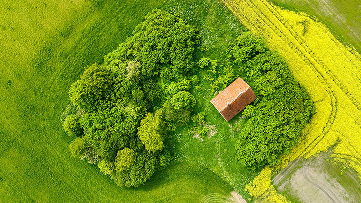 WPS下载拖延？教你3招倍速获取超清版本 二