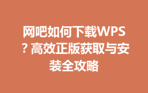 网吧如何下载WPS？高效正版获取与安装全攻略