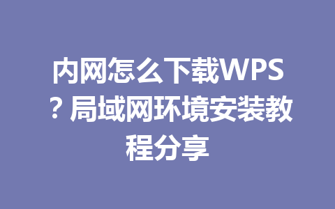 内网怎么下载WPS？局域网环境安装教程分享 一