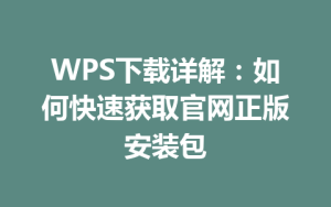 WPS下载详解:如何快速获取官网正版安装包