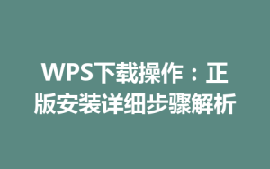 WPS下载操作：正版安装详细步骤解析