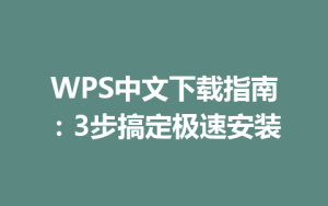 WPS中文下载指南：3步搞定极速安装