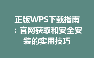 正版WPS下载指南:官网获取和安全安装的实用技巧