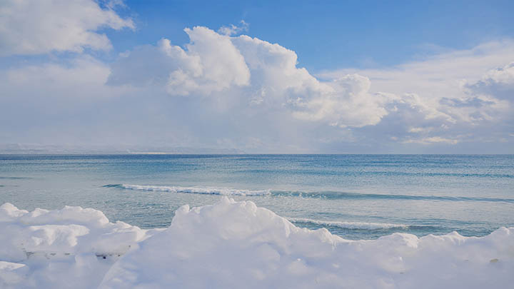 如何在WPS Office中禁止下载？ 二