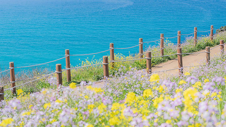 WPS照片下载教程：快速获取高清图片3步搞定 二