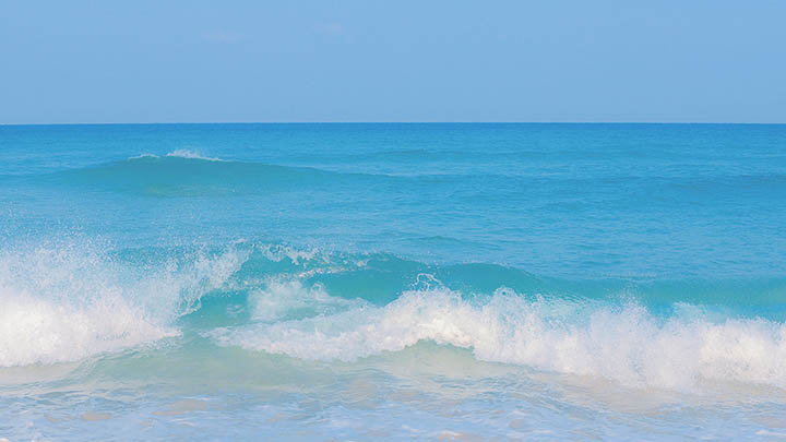 苹果WPS下载指南：教你轻松获取最新版本的4种实用方法 二