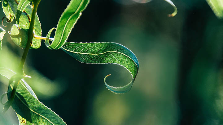 WPS软件下载:官方正版快速获取全流程解读 WPS软件下载:官方正版快速获取全流程解读 二