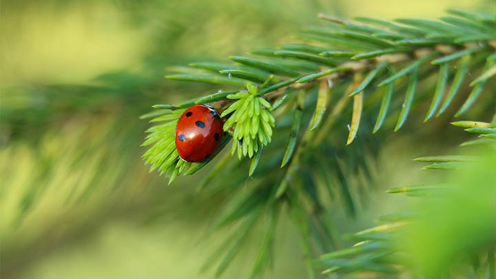 新机如何下载WPS Office？官方指南带你3步搞定 二