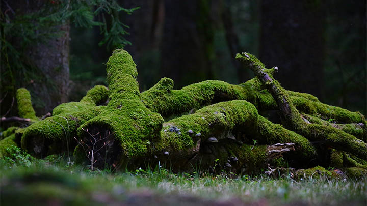 内网怎么下载WPS？局域网环境安装教程分享 二