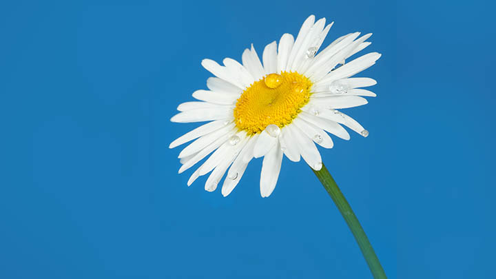 如何下载韩文版WPS? 如何下载韩文版WPS? 二