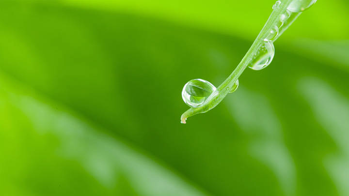 WPS新版下载：快速获取最新版本指南 二