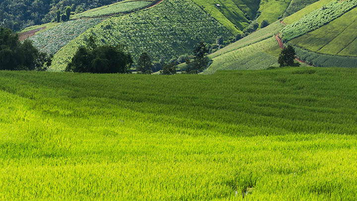 WPS演示下载全攻略：轻松三步获取官方版本 二