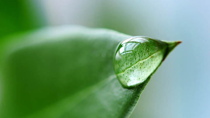 WPS如何官方下载？官网链接打不开怎么办？ 二