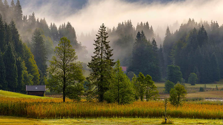 WPS如何下载全文?简单三步搞定教程 WPS如何下载全文?简单三步搞定教程 二