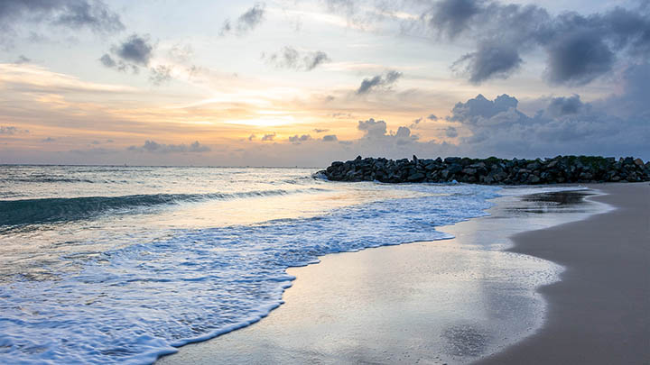 WPS演示下载:轻松获取的三大高效途径 WPS演示下载:轻松获取的三大高效途径 二