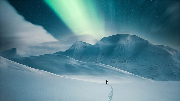 WPS如何快速下载白纸并轻松使用？ 二