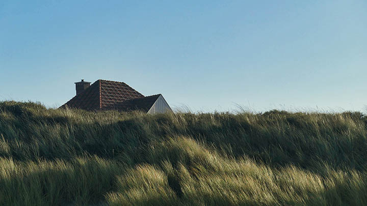 WPS如何更新下载？简单三步教你快速获取最新版 二