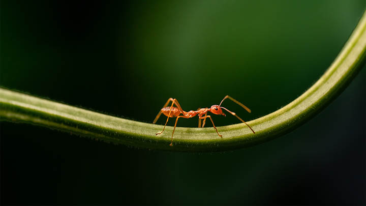 微软WPS下载途径详解,如何快速安装使用? 微软WPS下载途径详解,如何快速安装使用? 二