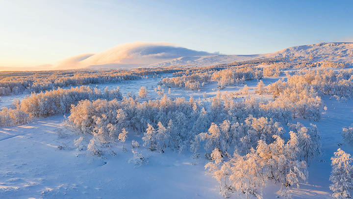 WPS官方如何下载?3种稳定渠道让你轻松获取 WPS官方如何下载?3种稳定渠道让你轻松获取 二