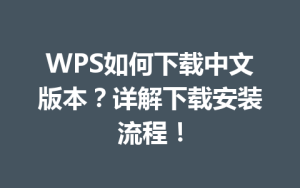 WPS如何下载中文版本?详解下载安装流程!