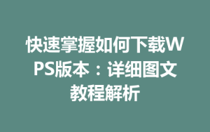 快速掌握如何下载WPS版本：详细图文教程解析