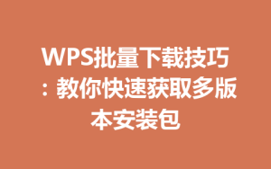 WPS批量下载技巧:教你快速获取多版本安装包