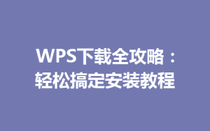 WPS下载全攻略:轻松搞定安装教程