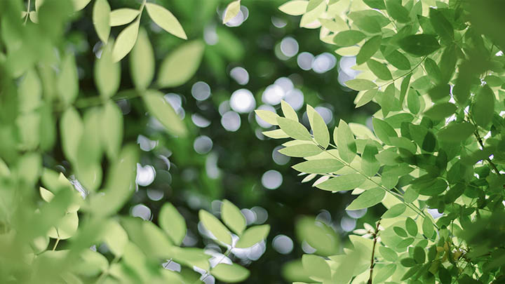 WPS版本下载指南：教你快速选择适合自己的安装方式 二